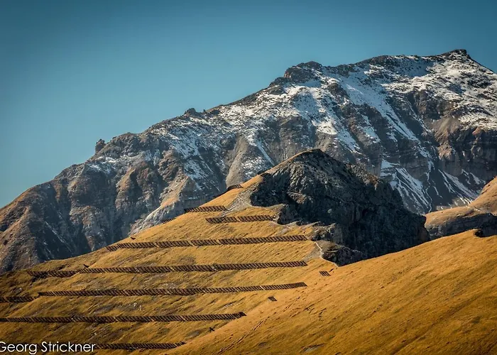 Apartment Strickner *