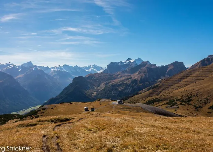 Strickner * 트린스