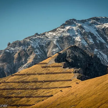 Lejlighed Strickner *